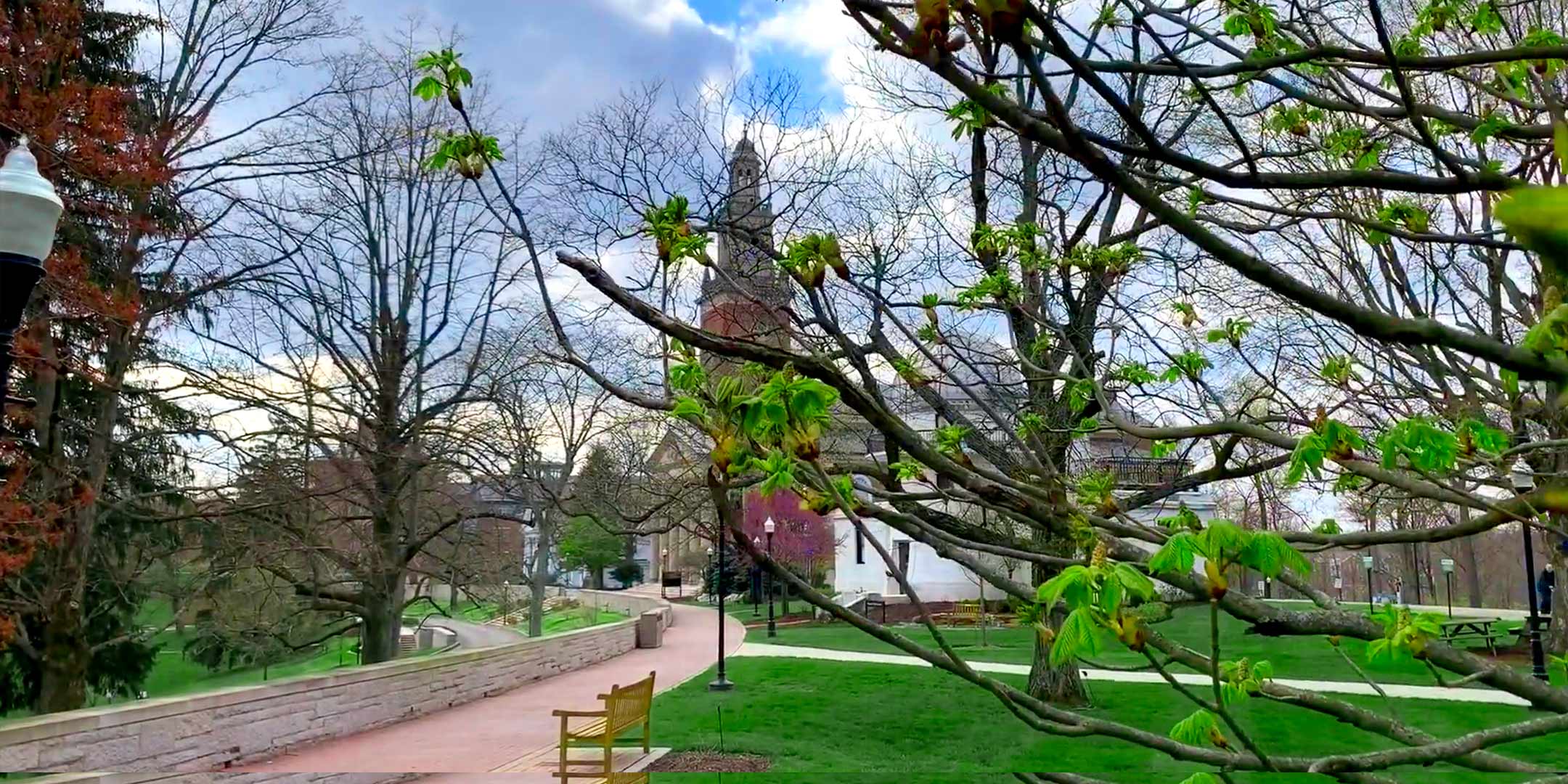 Chapel Walk at Denison