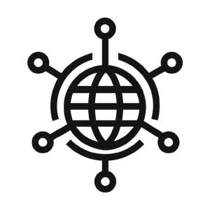 Grayscale Globe Network Icon