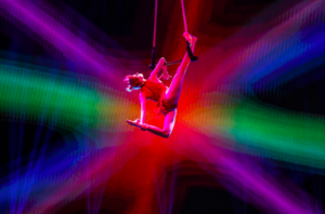 An aerialist suspended